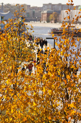 Sunny city embankment through autumn leaves