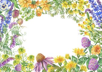 Floral square frame with flowering wildflowers, medicinal herbs. Watercolor hand drawn painting illustration isolated on a white background.