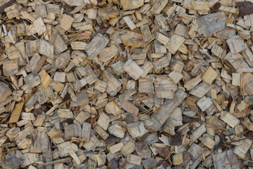 Dry wood chips and pine needles scattered on the ground in the forest