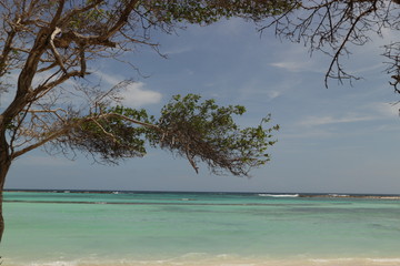 Praia caribenha