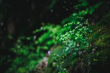 abstract green background with lots of light spots
