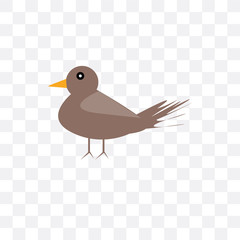 bird icon isolated on transparent background. Simple and editable bird icons. Modern icon vector illustration.