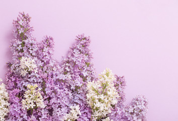 Obraz premium beautiful lilak on paper background