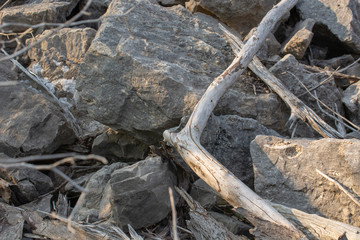 Large Rocks and Drift Wood During Sunset