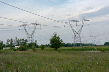 Power Line Towers in Green Field with Wild Flowers