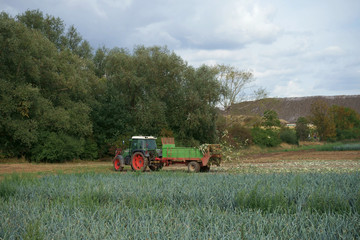 Fototapeta premium Traktor mit Häksler auf dem Feld