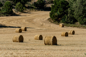 straw role in the field