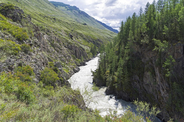 Fototapeta na wymiar The Chuya River in a narrow canyon. Altai, Siberia, Russia.