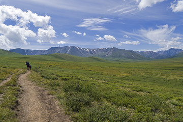 Tourists on the mountain pass. Mountain Altai , Siberia, Russia.