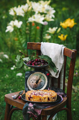 Homemade cherry pie on a wooden chair in the garden