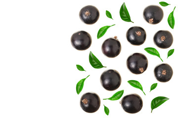 black currant isolated on white background with copy space for your text. Top view. Flat lay pattern