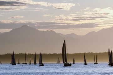 Sailboats and the Olympic Mountains - 222882417