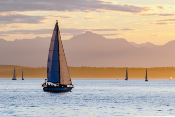 Sailboats and the Olympic Mountains - 222882443