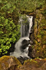 The Boundary Waters Canoe Wilderness Area is a Natural Gem in Northern Minnesota