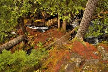 The Boundary Waters Canoe Wilderness Area is a Natural Gem in Northern Minnesota