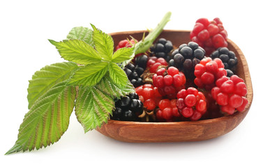 Newly harvested fresh blackberries