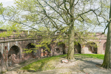 The historical Burcht van Leiden castle