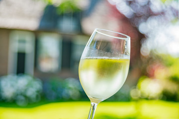 Close up shot of a glass of white wine at Giethoorn