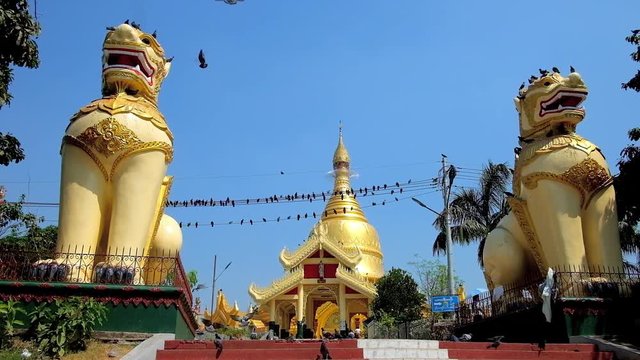 YANGON, MYANMAR - FEBRUARY 17, 2018:  Great statues of chinthe (leogryphs) at the Maha Wizaya (Mahavijaya) Pagoda with a view on golden stupa and flock of pigeons on wires, on February 17 in Yangon
