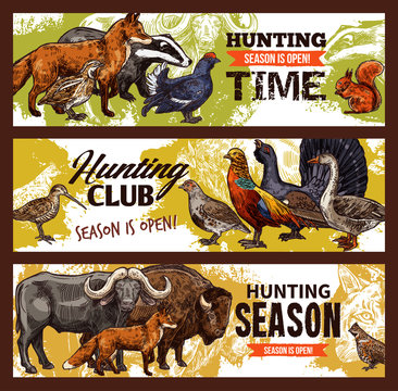 Hunting sport banners, animals and birds
