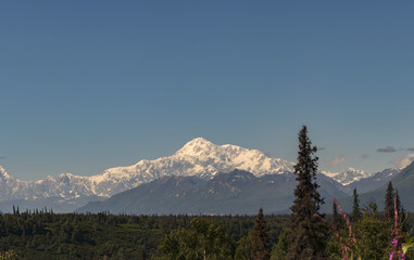 View of Denali (formerly Mount McKinley), "The High One" in Athabascan, against a blue sky in summertime. Tallest mountain in North America, Alaska, USA. 
