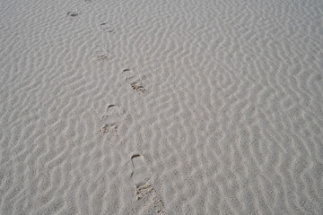 Footprints in the rippled wavy white gypsum sand in White Sands New Mexico