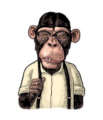 Naklejka premium Monkey businessman in the shirt and suspender. Vintage black engraving