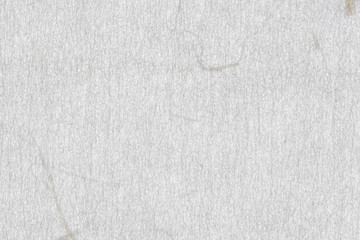 extreme close-up of a soft paper or cellulose texture