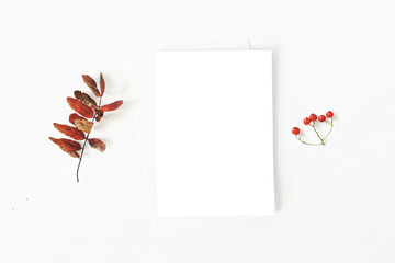 Autumn minimalist stationery mockup scene. Composition of plank paper greeting card, envelope and red dry rowan leaf and berries on white table background. Flat lay, top view. Botanical arrangement.