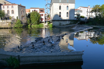 Clisson - La Sèvre Nantaise