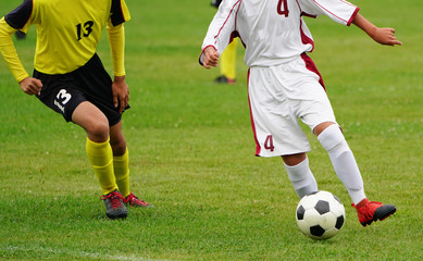 Fototapeta premium サッカー フットボール