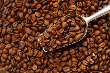 コーヒー豆