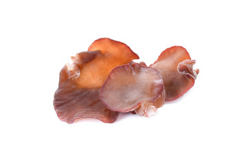Fototapeta premium ear mushroom on white background