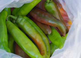 Green Chile Haul