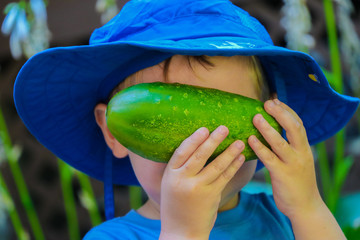 shy toddler boy hiding behind garden cucumber