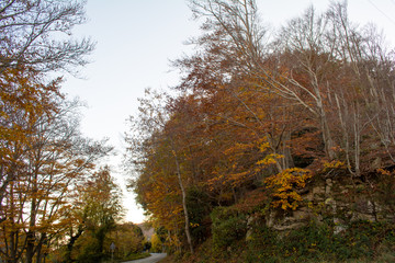 Fototapeta premium Fall season at the Montseny in Catalonia, Spain.