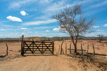 Cariri, Para&iacute;ba, Brazil - February, 2018: Landscape of a Simple life background with a beautiful house in a dry land