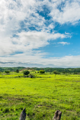 Fototapeta na wymiar Colorful green field in a blue sky day background