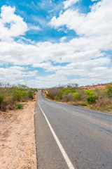 Fototapeta na wymiar Cabaceiras, Paraíba, Brazil - February, 2018: Road to infinite with Cactus in a Caatinga Biome