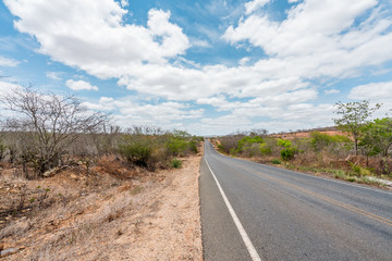 Fototapeta na wymiar Cabaceiras, Paraíba, Brazil - February, 2018: Road to infinite with Cactus in a Caatinga Biome