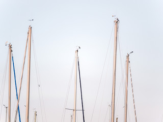 Closeup photograph of the top boat masts, weather vanes, and ropes of sailboats sitting in a harbor in Chicago with blue and cloudy sky above.