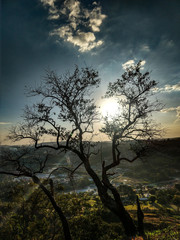 Obraz premium Lindo fim de tarde em minha cidade São roque-SP