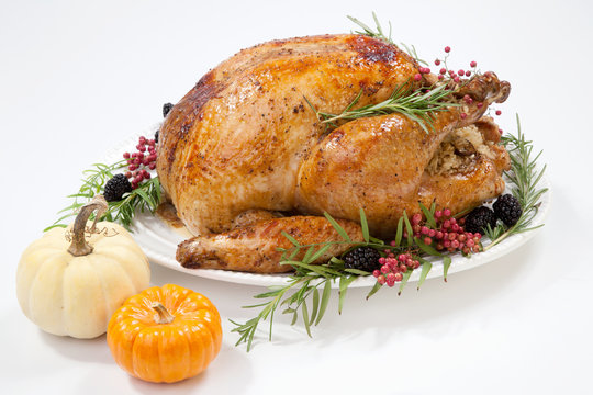 Thanksgiving Turkey on White