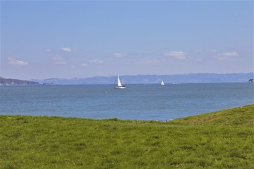 Fototapeta premium Sailing