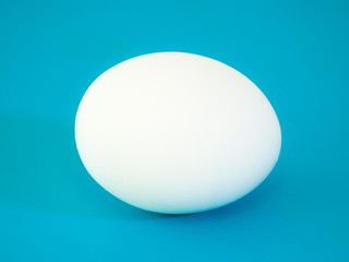 Close-up photograph of a real large white chicken egg on vibrant blue solid color cutting board background making a beautiful eye catching background for the easter holiday.