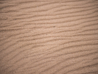 Fototapeta na wymiar Beautiful closeup image of real wind blown brown colored sand creating a detailed topographic rippled wave pattern or striped texture background photograph.
