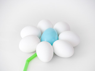 Photograph of a cute flower shape created from the arrangement of white chicken eggs as petals and a blue plastic Easter egg and green flexible straw making a great holiday background image or craft.