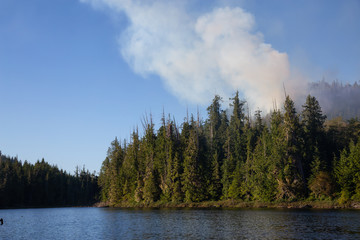 BC Wild Fire during a hot sunny summer day. Taken near Port Alice, Northern Vacouver Island, British Columbia, Canada.