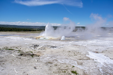 steaming geyser field