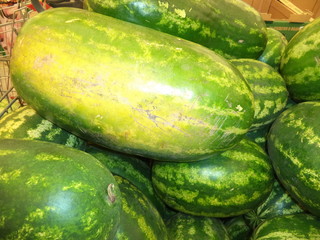 ripe large Astrakhan watermelons
